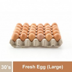 Fresh Egg (Large)